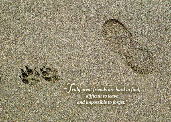 Dog Footprints Pet Sympathy Card