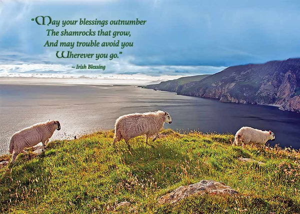 Coastal Sheep Happy St. Patrick's Day Card - Irish Blessing - The Celtic Gift Store - Gift
