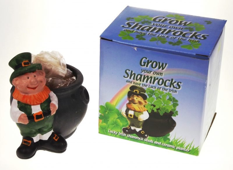Grow Your Own Shamrock Plant With a Pot - The Celtic Gift Store - Home & Garden