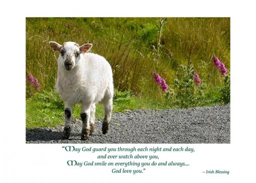 Irish Lamb New Baby Congratulations Card - Irish Blessing - The Celtic Gift Store - Gift