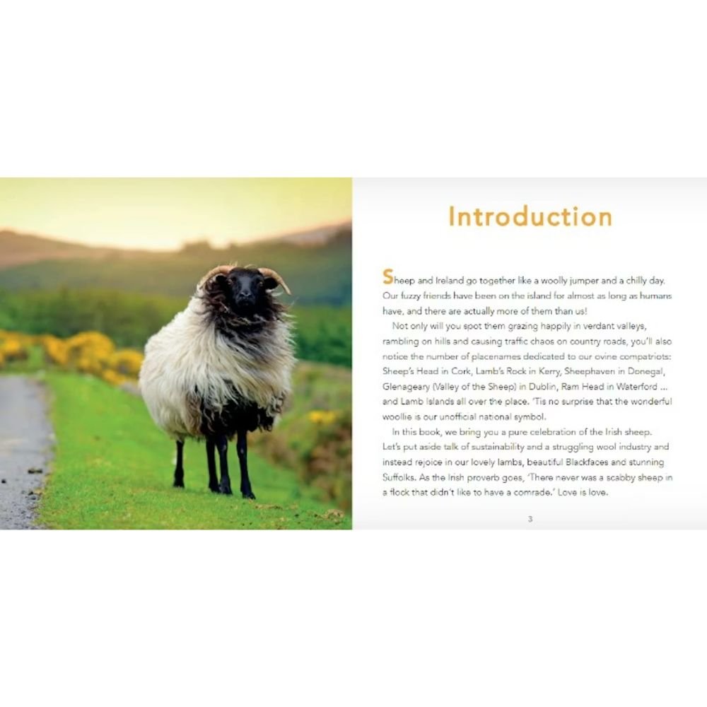 Sheep of Ireland - The Celtic Gift Store - Books