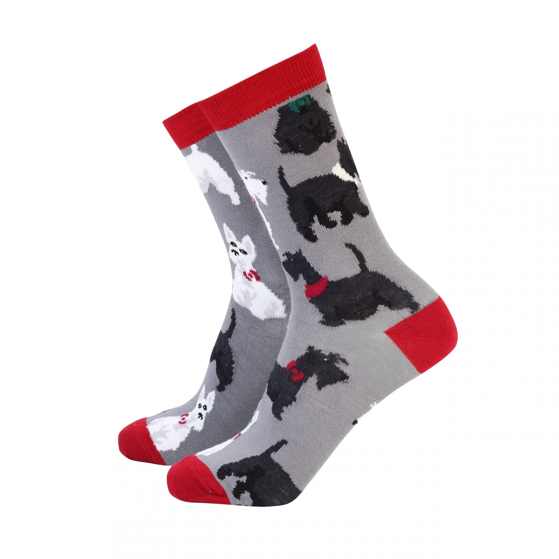 Sock Therapy Scottie Dog Women's Socks - The Celtic Gift Store - Socks
