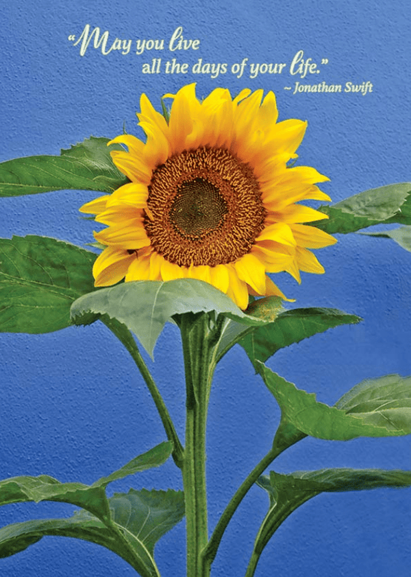 Sunflower Birthday Card - Jonathan Swift Quote - The Celtic Gift Store - Gift