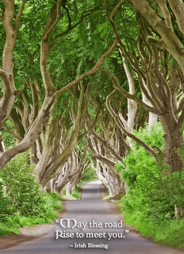The Dark Hedges Birthday Card - Irish Blessing - The Celtic Gift Store - Gift