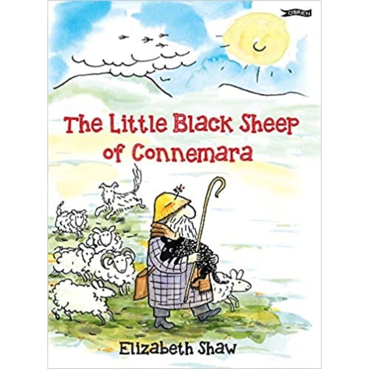 The Little Black Sheep of Connemara