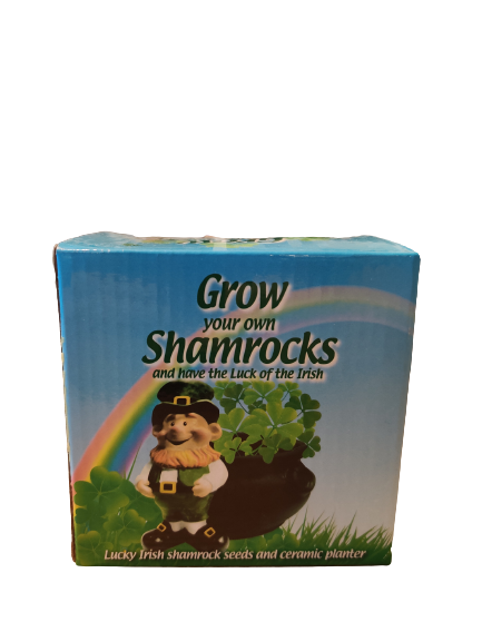 Grow Your Own Shamrock Plant With a Pot