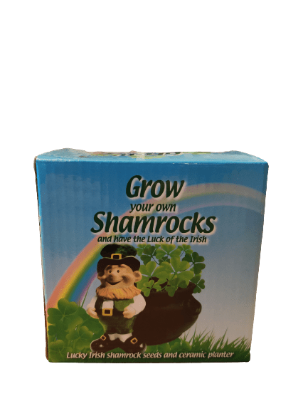 Grow Your Own Shamrock Plant With a Pot - The Celtic Gift Store - Home & Garden